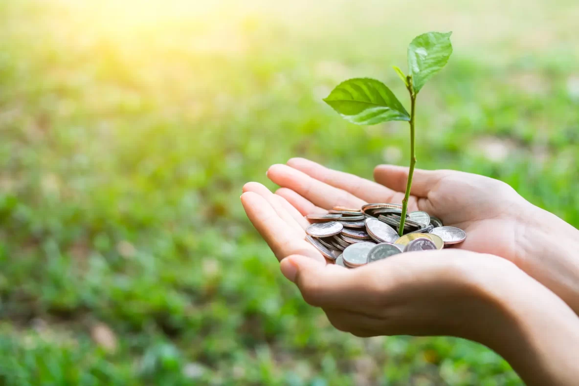 Hands holding coins with plant growing